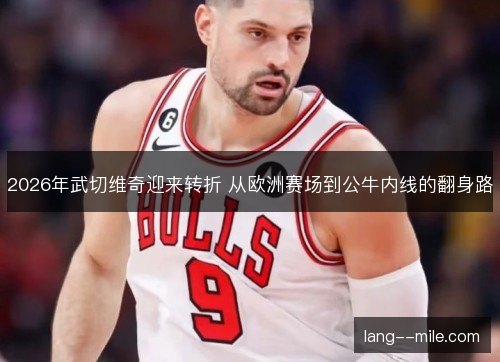 2026年武切维奇迎来转折 从欧洲赛场到公牛内线的翻身路